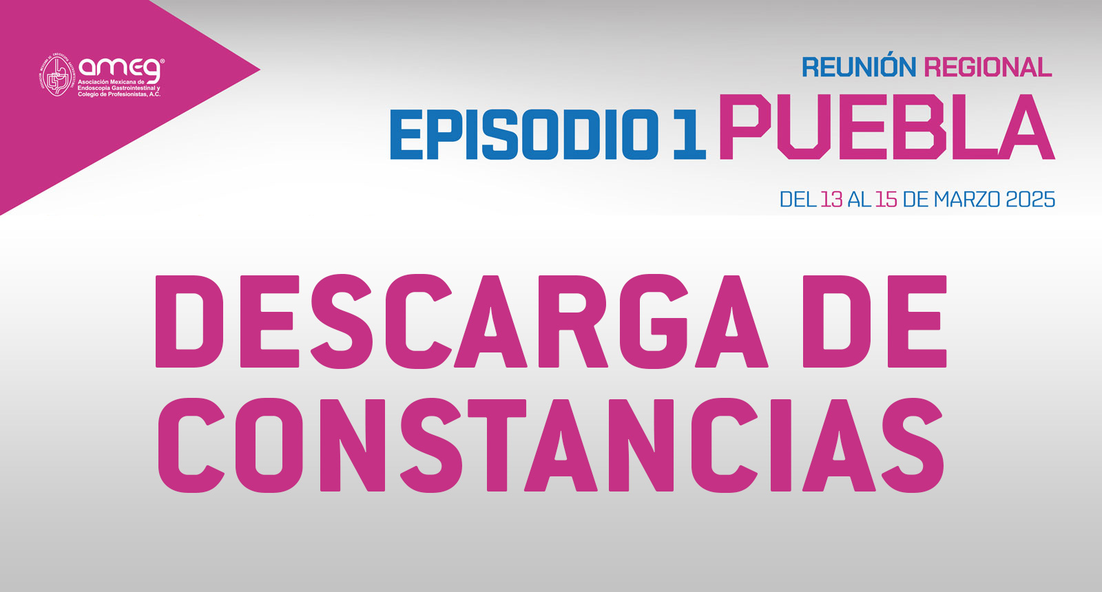 Descarga de constancias Reunion Regional Puebla