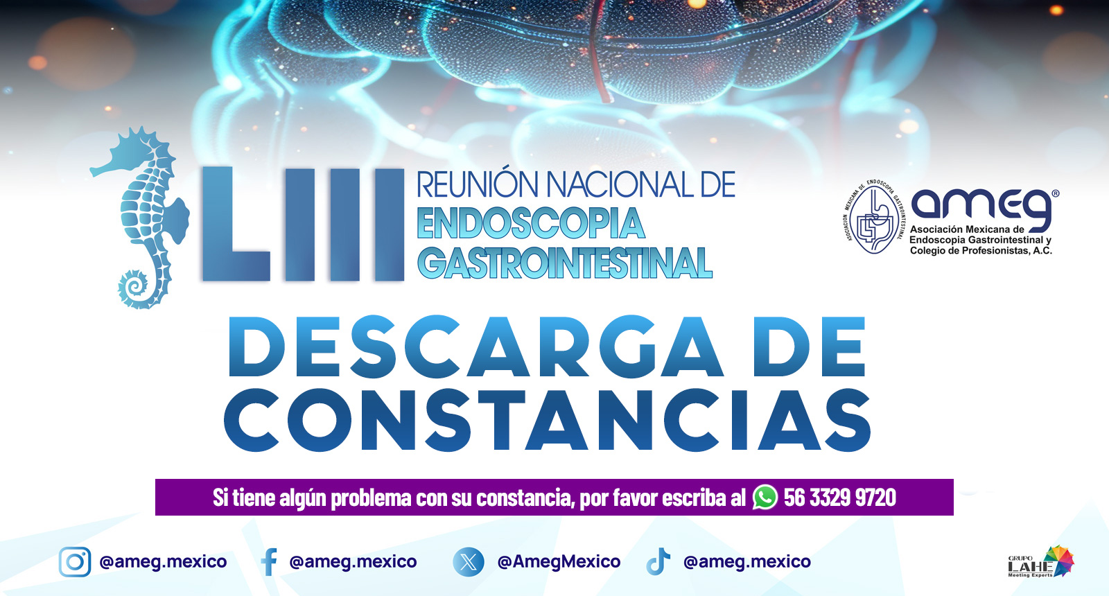 Descarga de constancias