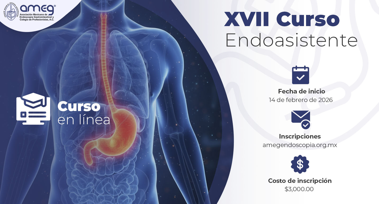 XVII Curso Endoasistente