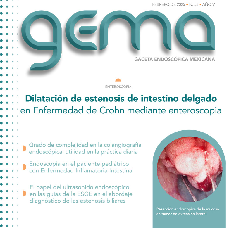 GEMA 41 feb 2024