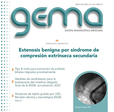 GEMA 44 may 2024