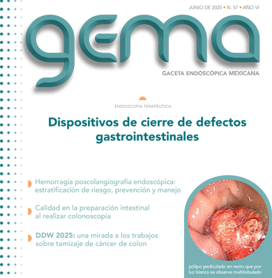 GEMA 45 jun 2024